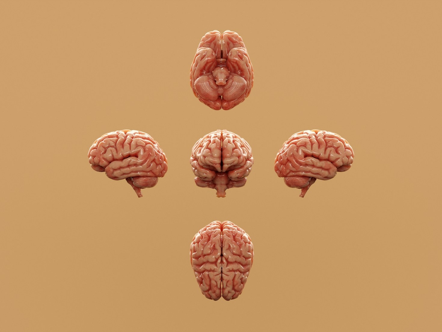 Philosophy Meets Physics: The Thermodynamic Perspective